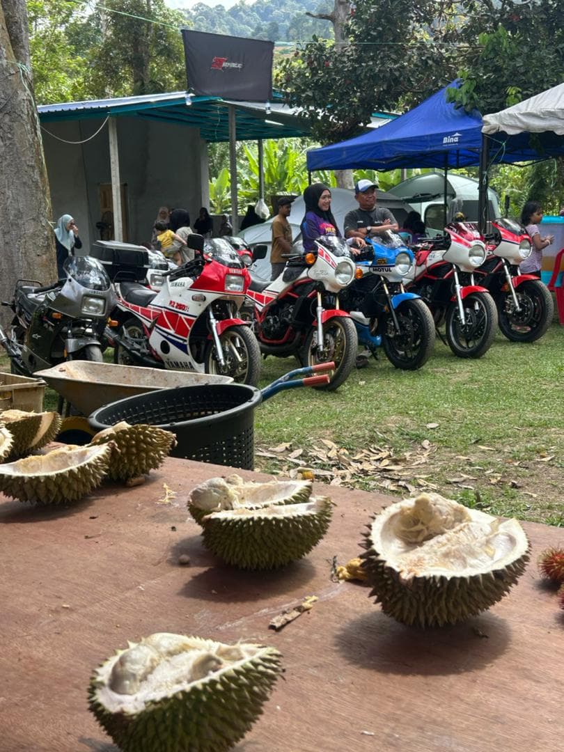 RD Durian Weekend - Action