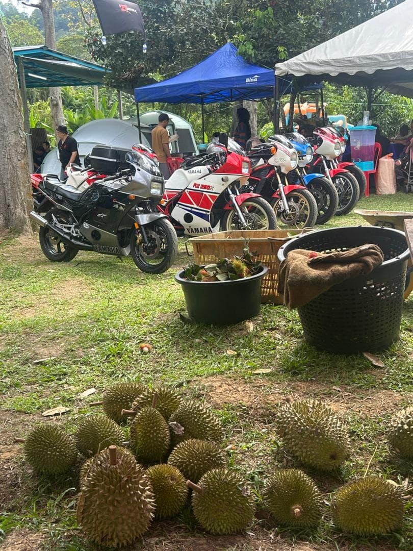 RD Durian Weekend - Showcase